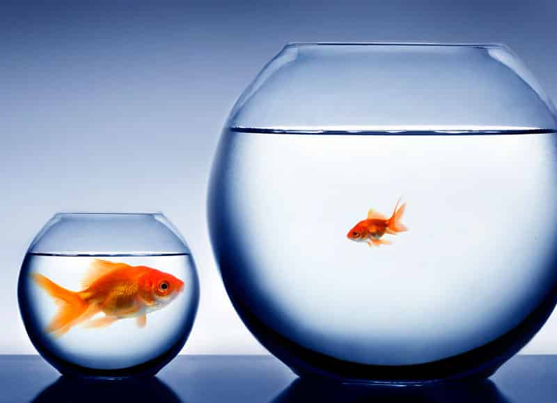 DIVORCIO E IMPUESTOS